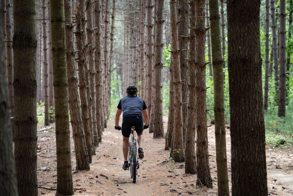 Mountainbiker fährt auf schmalem Waldweg zwischen dicht stehenden Bäumen