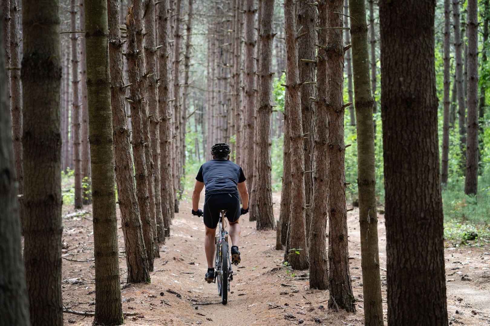Mountainbiker fährt auf schmalem Waldweg zwischen dicht stehenden Bäumen
