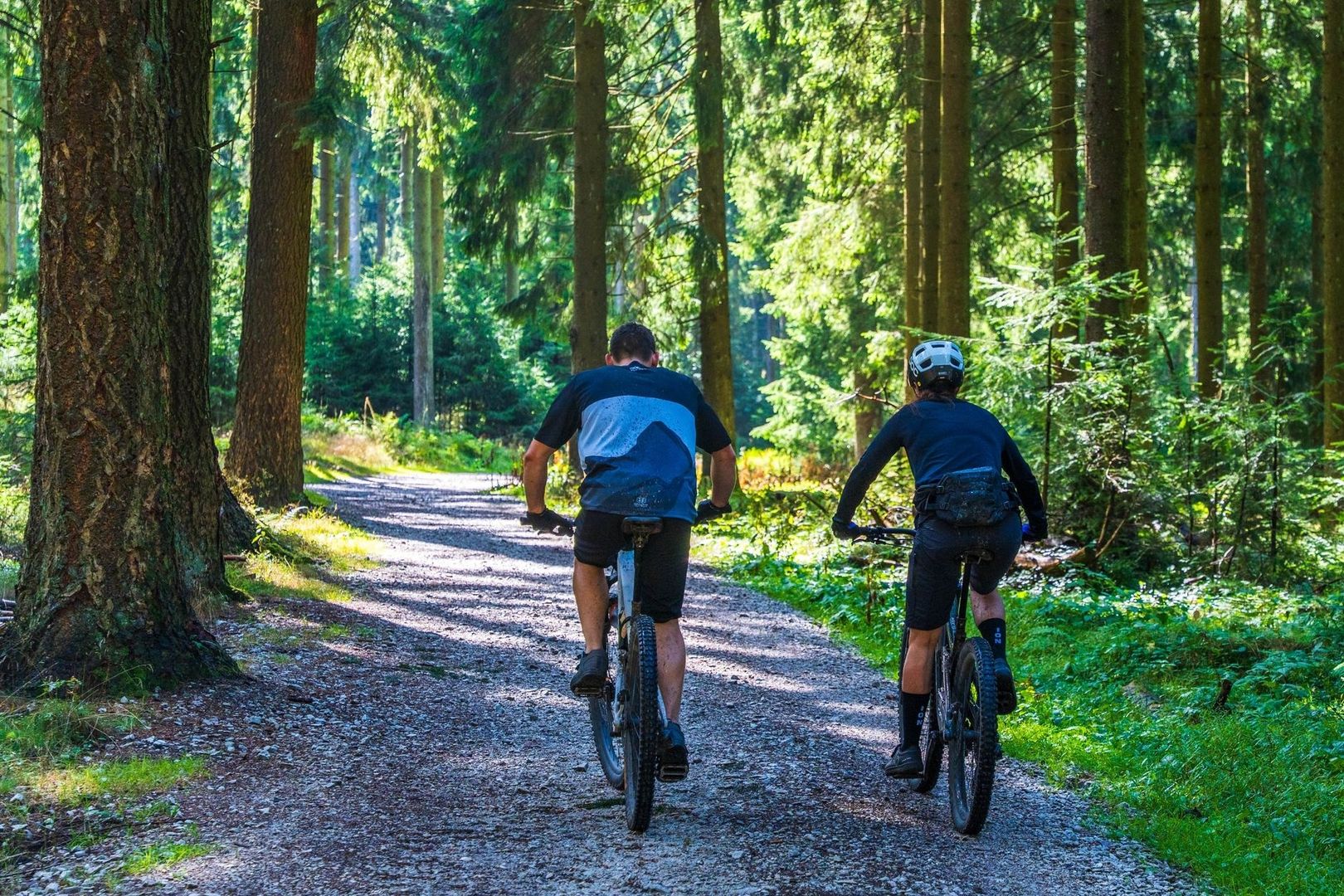 Zwei Mountainbiker fahren auf einem Waldweg durch dichten Nadelwald
